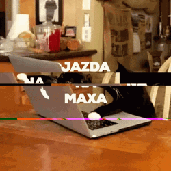 Keyboard Cat Jazda Na Maxa GIF