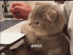 Keyboard Cat Pissed Off GIF