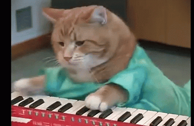 Keyboard Cat Playing Cute GIF