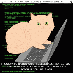 Keyboard Cat Typing Amazon Account GIF