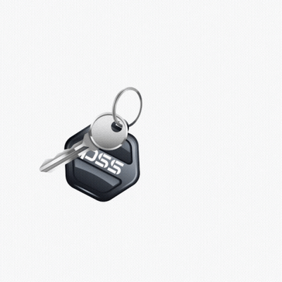 Keychain Key Saying SSC GIF