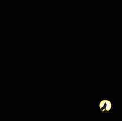 Khabib Being Sneaky GIF
