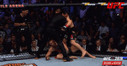 Khabib Being Stopped By The Referee GIF