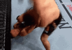Khabib Power Head Punch GIF