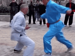 Kick In The Nuts Funny Kung Fu  GIF