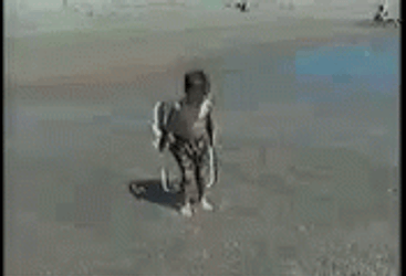 Kid Hit By Waves Funny Beach GIF
