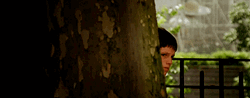 Kid Peeking Behind The Tree GIF