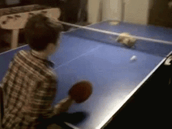Kid Playing With Cat Table Tennis GIF