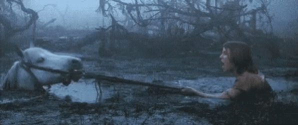 Kid Puling A Horse In Swamp GIF