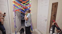 Kid Scared With Party Popper GIF