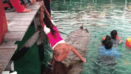 Kids Playing And Gonna Need A Bigger Boat GIF
