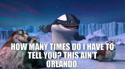 Killer Whale Saying How Many Times Do I Have To Tell You This Ain't Orlando GIF