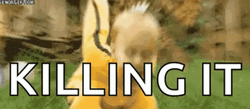 Killing It GIF