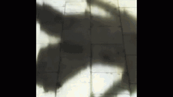 Killua Pfp Skateboarding GIF