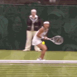 Kimiko Date Venus Williams GIF