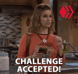 Kimmie Fuller Challenge Accepted GIF