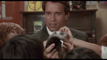 Kindergarten Cop Detective John Kimble Holding Ferret GIF