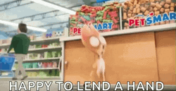 Kindness Mel And Peanuts Secret Life Of Pets GIF