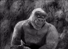 King Kong Confused Scratching Its Head GIF