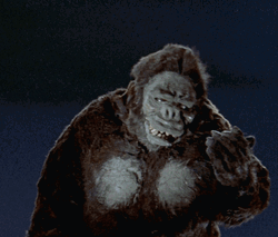 King Kong Dazzled By Spotlight In Old Movie GIF