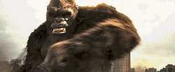 King Kong Growling Close Up Shot GIF