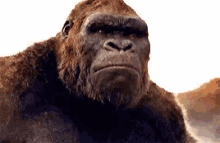 King Kong Making A Big Roar GIF