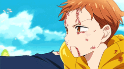 King Shielding Himself During Battle GIF