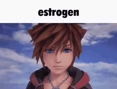 Kingdom Hearts Character With Estrogen Above Him GIF
