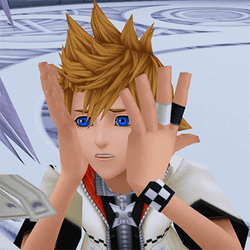 Kingdom Hearts Sora Shocked Face GIF