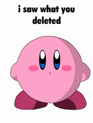 Kirby Delete I Saw What You Delete GIF
