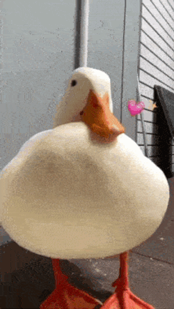 Kiss Cute GIF