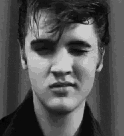 Kiss Elvis GIF