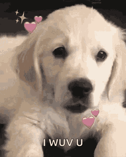 Kiss GIF