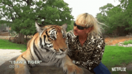 Kiss With Tiger GIF