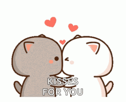Kisses For You Cat Smooching GIF