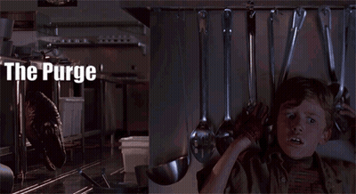 Kitchen And Boy Saying The Purge GIF