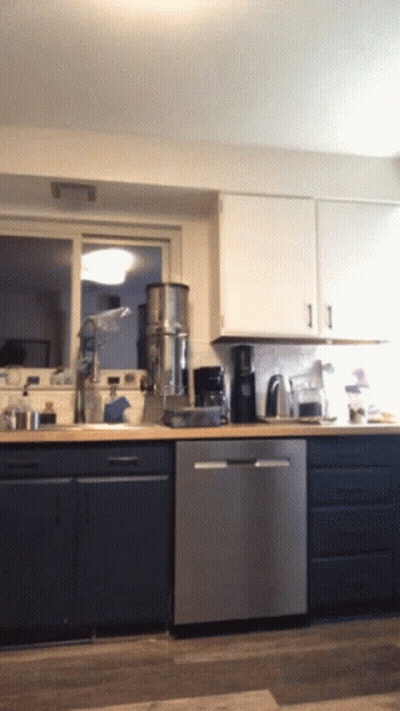 Kitchen With Stainless Steel Dishwasher And Blue Cabinets GIF