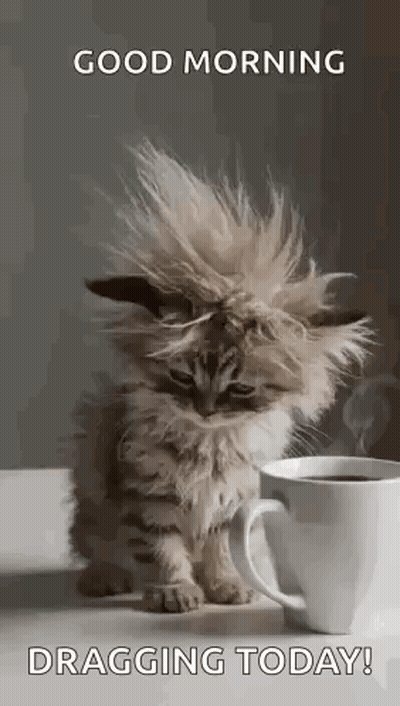 Kitten Beside Coffee Cup GIF