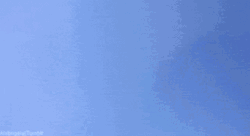 Kitten Cat Jumping On Sky GIF