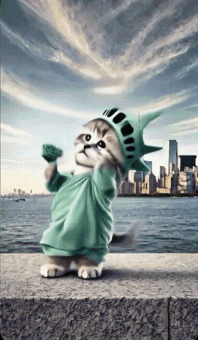 Kitten Dressed As Statue Of Liberty Holding Flower GIF