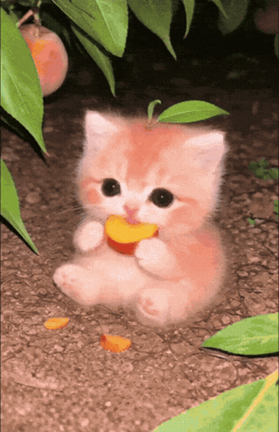 Kitten Eating Peach From Tree GIF
