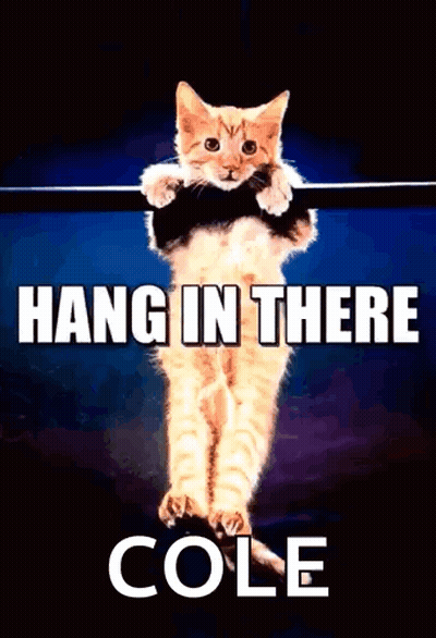 Kitten Hanging On Bar Hang In There Cole GIF