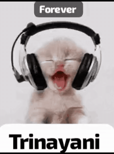 Kitten Headphones Mouth Open Forever Trinayani GIF