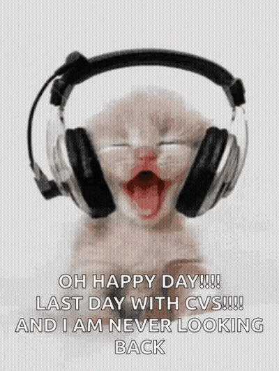 Kitten Headphones Oh Happy Day Last Day CVS GIF