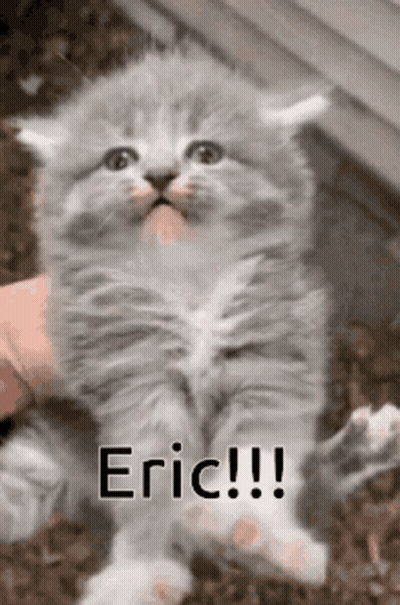 Kitten Held In Hand Saying Eric GIF