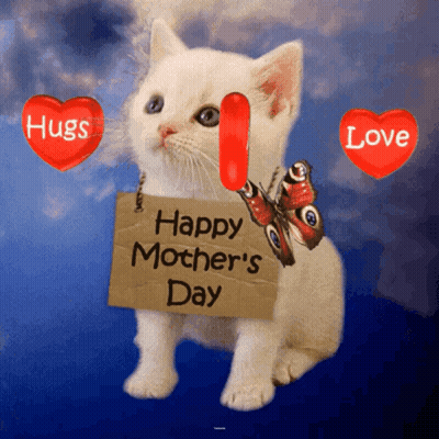 Kitten Holding Happy Mothers Day Sign