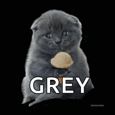 Kitten Holding Ice Cream Cone Grey GIF