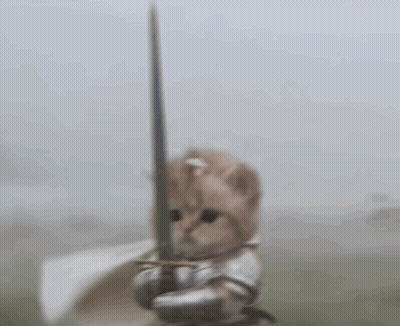 Kitten Holding Sword Wearing Armor GIF
