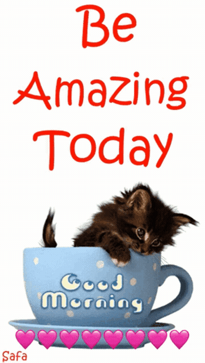 Kitten in a Cup Be Amazing Today