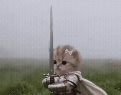 Kitten In Armor Holding Sword GIF